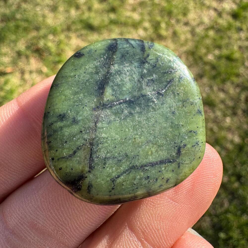 Canadian Jade Palm Stone Nephrite #16